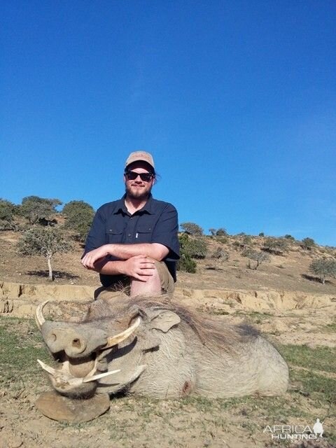 Hunting Warthog in South Africa