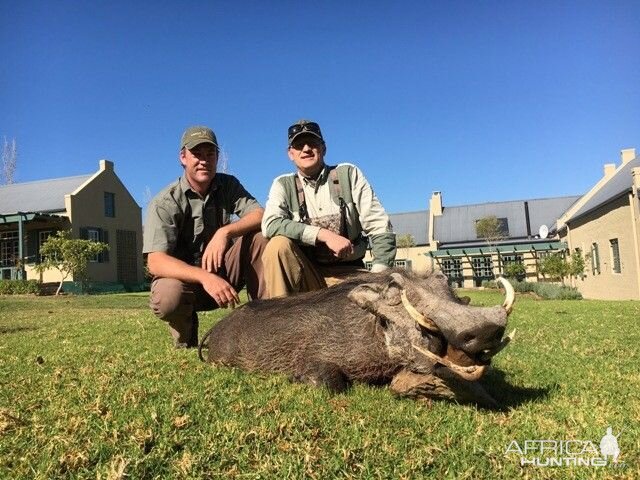 Hunting Warthog in South Africa