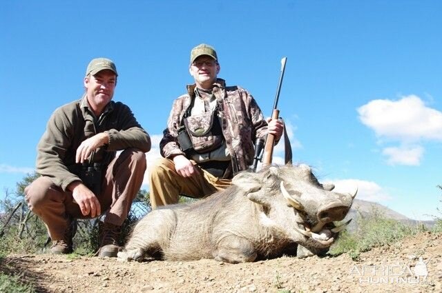 Hunting Warthog in South Africa