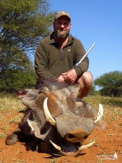 Hunting Warthog in South Africa