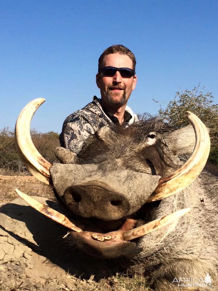 Hunting Warthog in South Africa