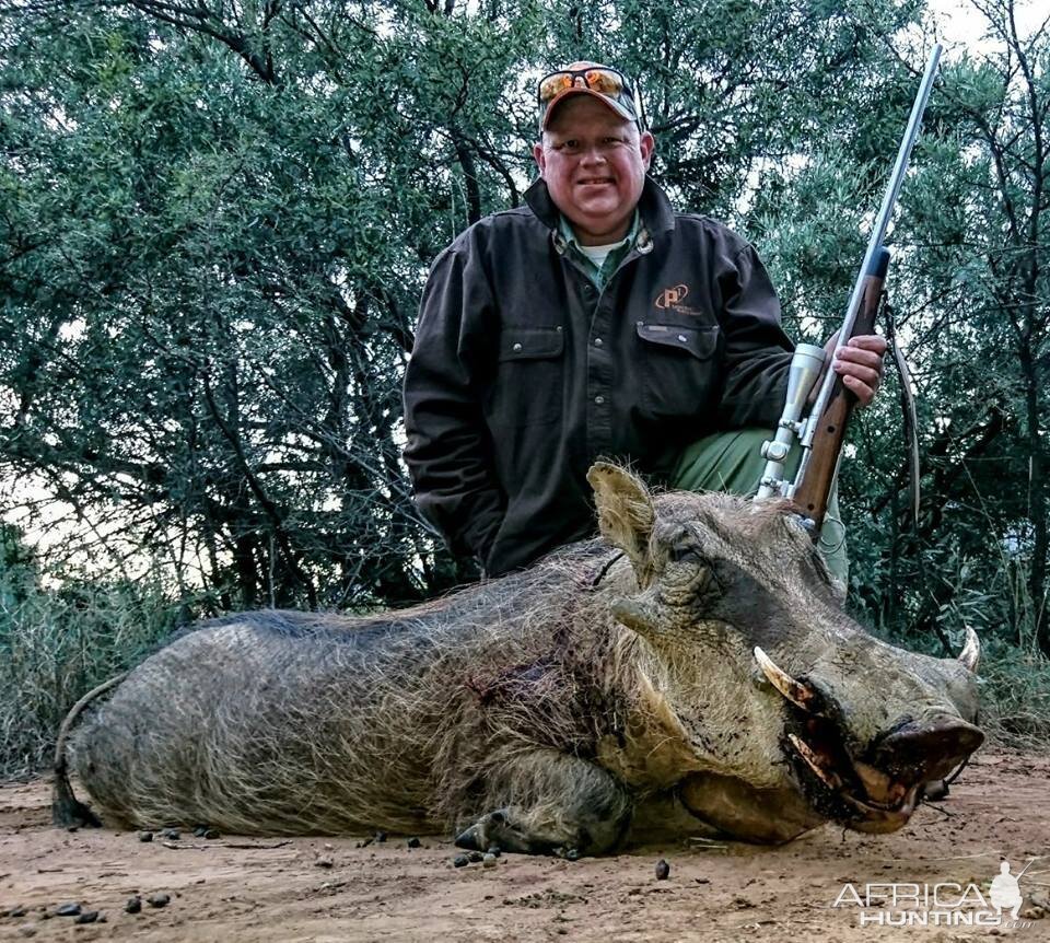 Hunting Warthog in South Africa