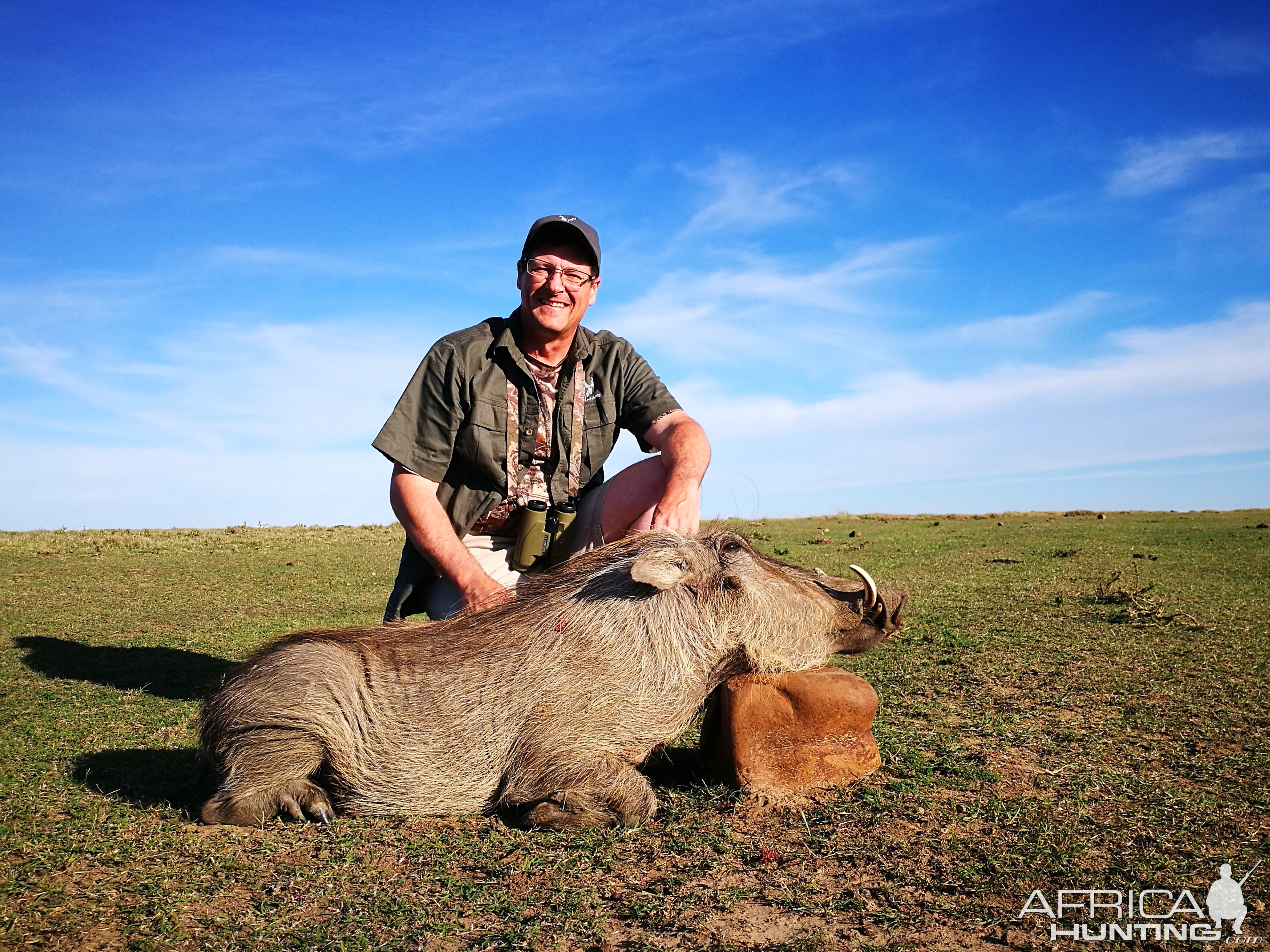 Hunting Warthog in South Africa