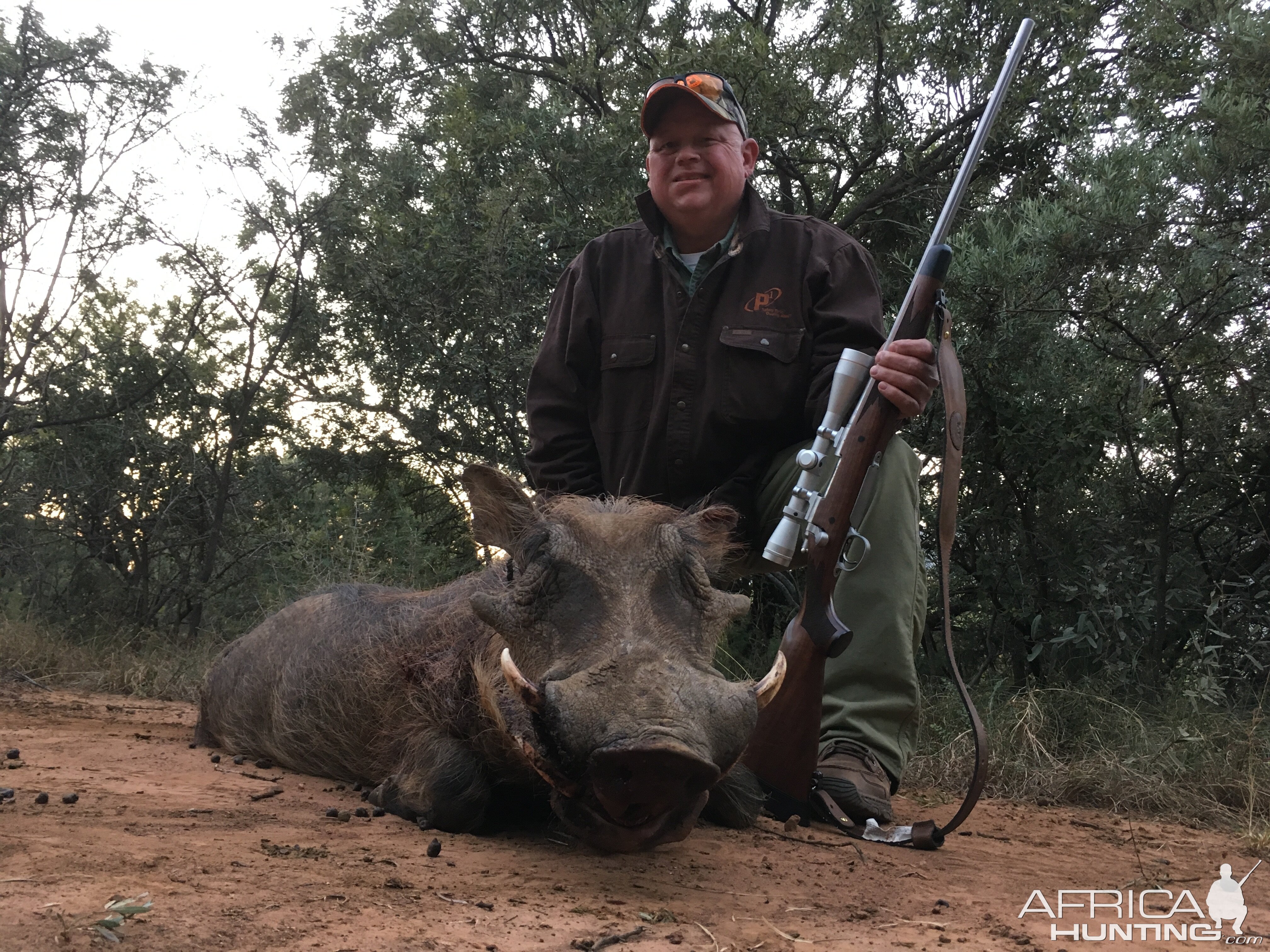 Hunting Warthog in South Africa