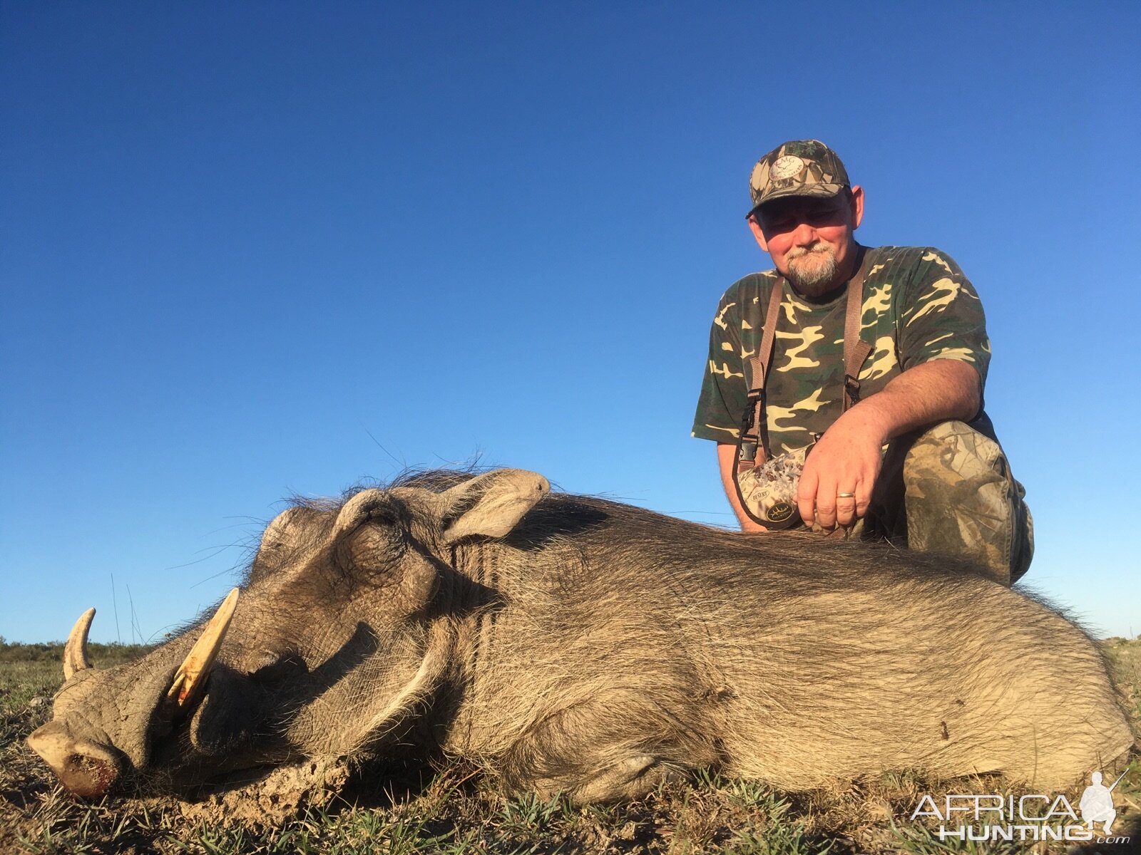 Hunting Warthog in South Africa