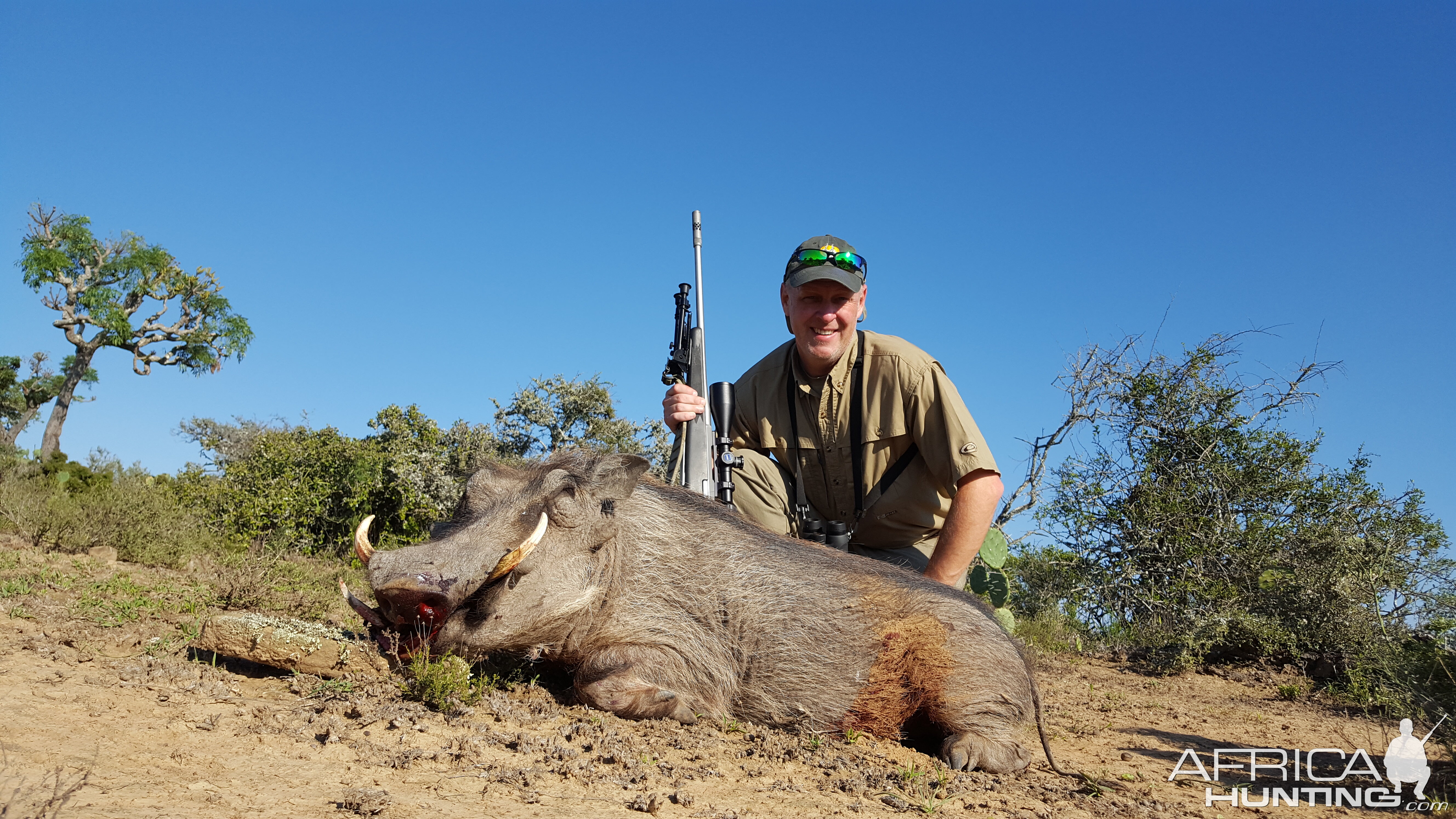 Hunting Warthog in South Africa