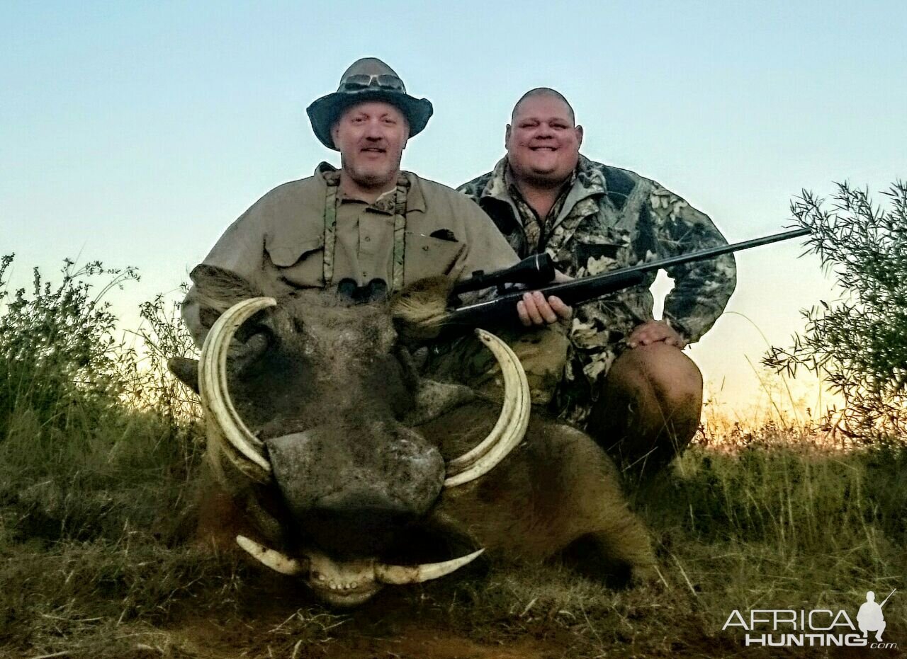 Hunting Warthog in South Africa