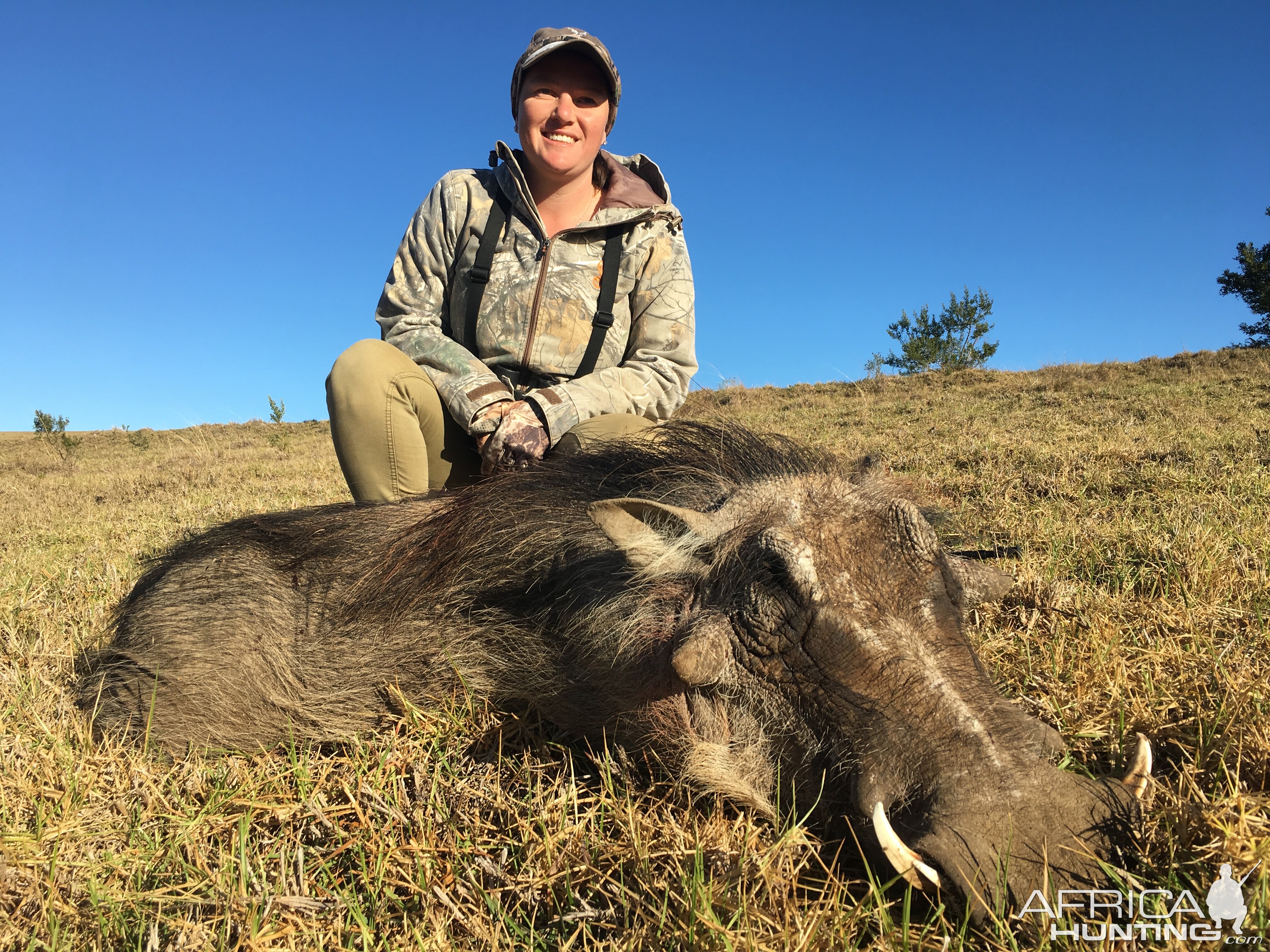 Hunting Warthog in South Africa