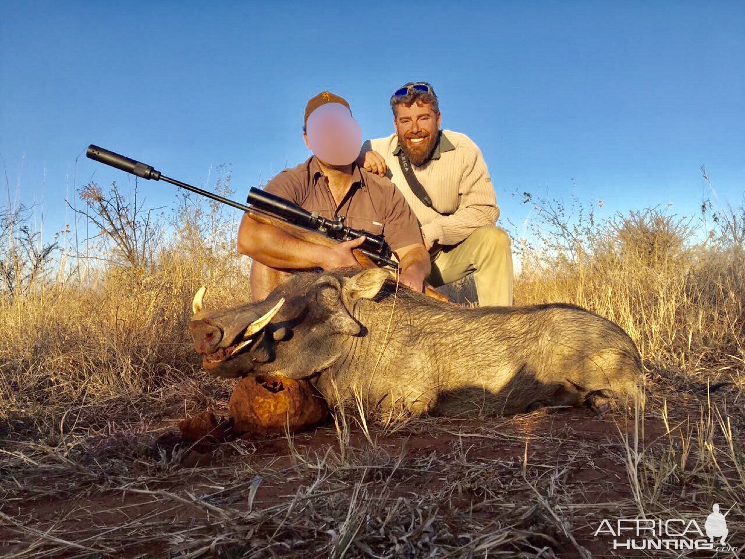 Hunting Warthog in South Africa