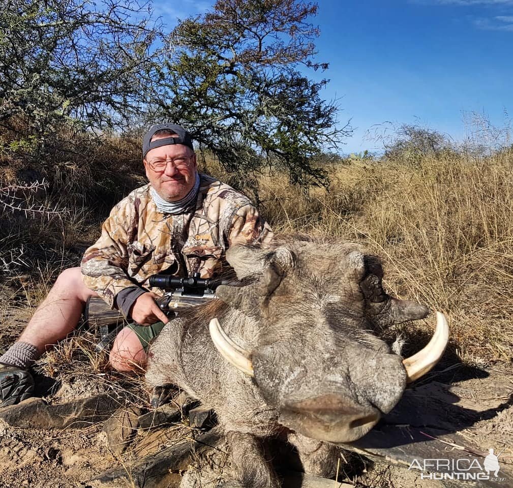 Hunting Warthog in South Africa