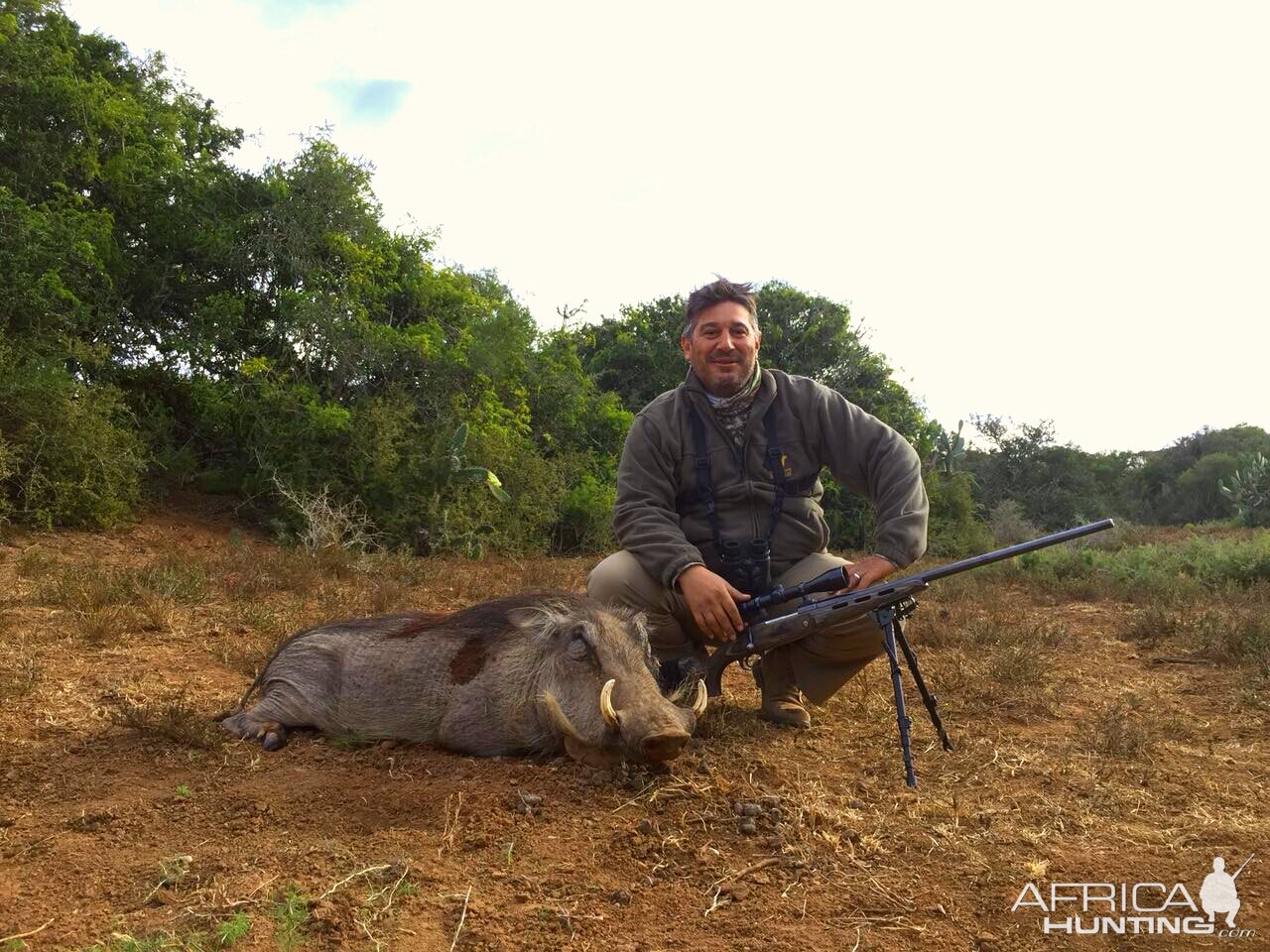 Hunting Warthog in South Africa