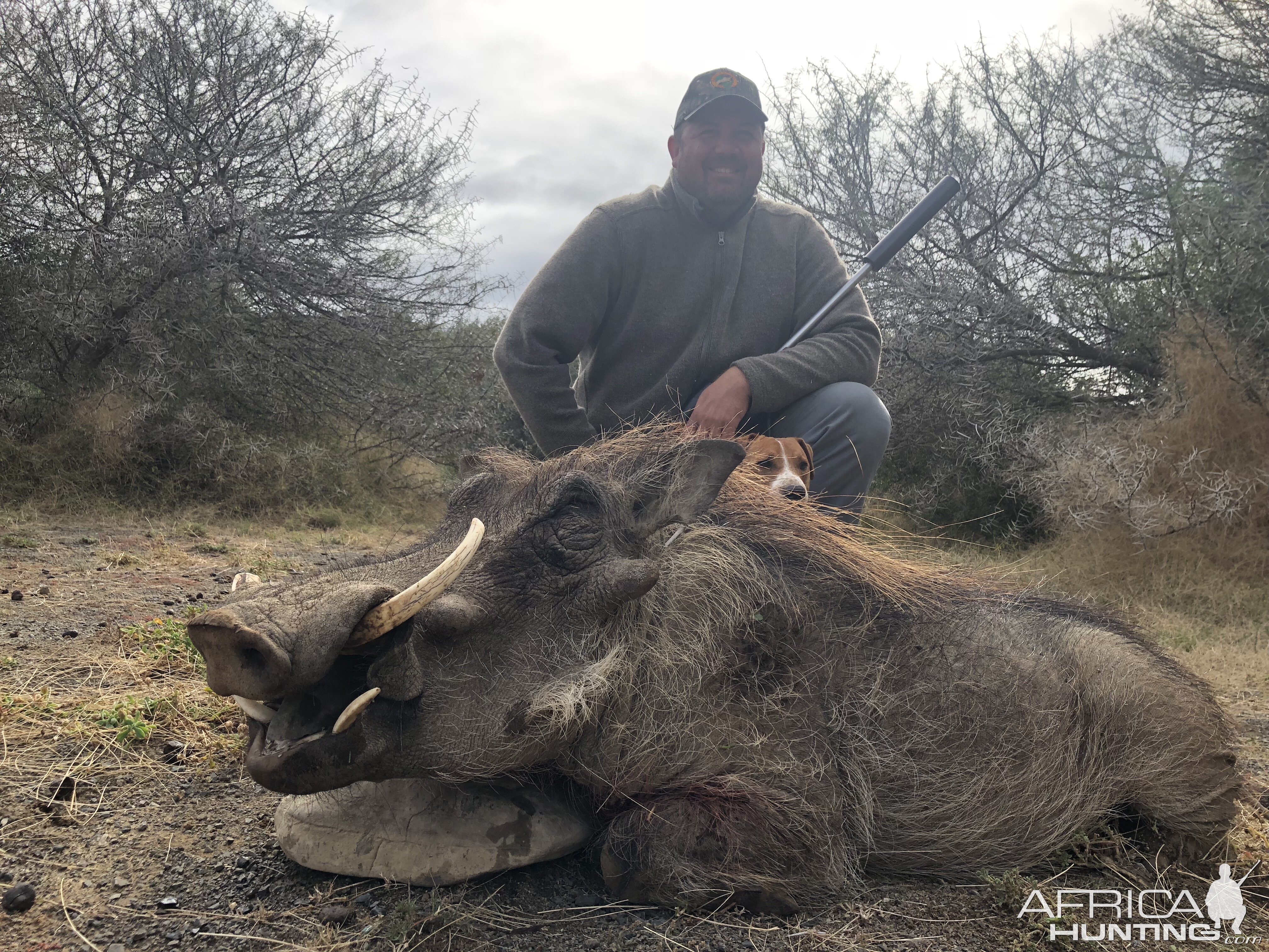 Hunting Warthog in South Africa