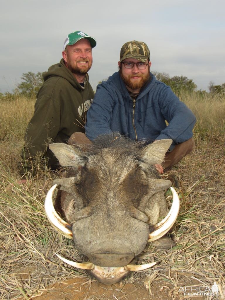 Hunting Warthog in South Africa