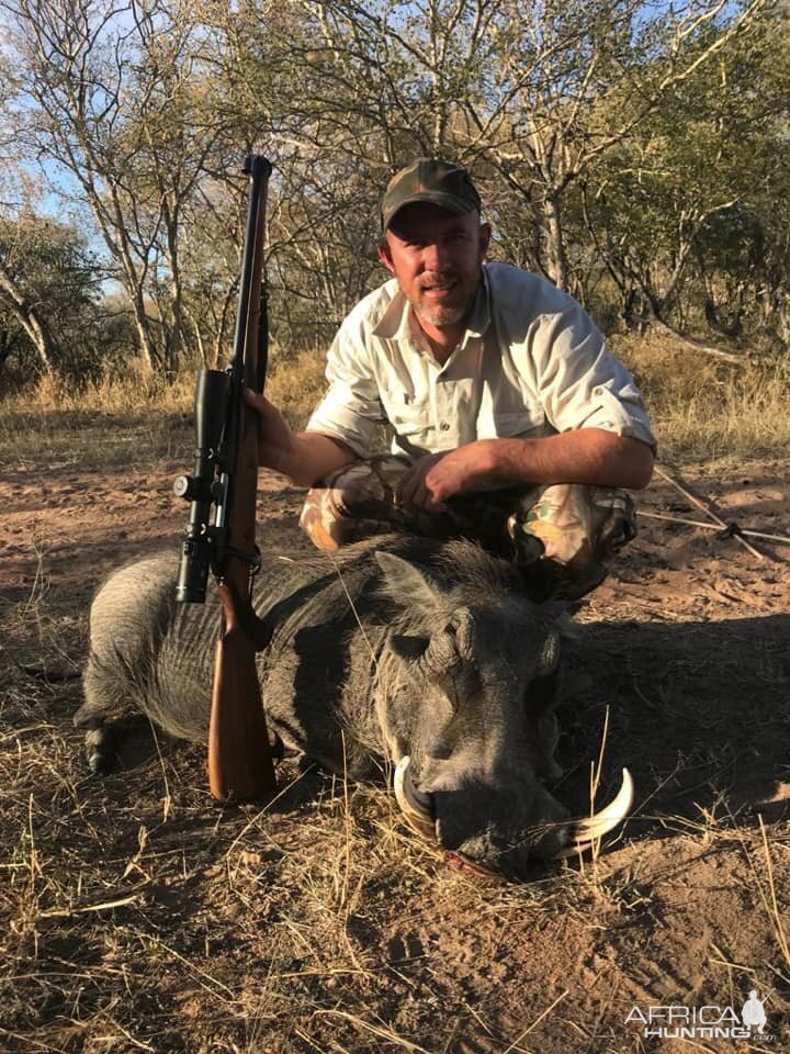 Hunting Warthog in South Africa