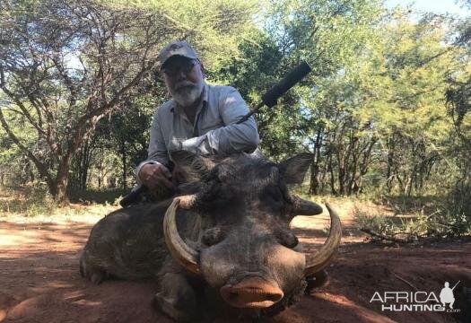 Hunting Warthog in South Africa