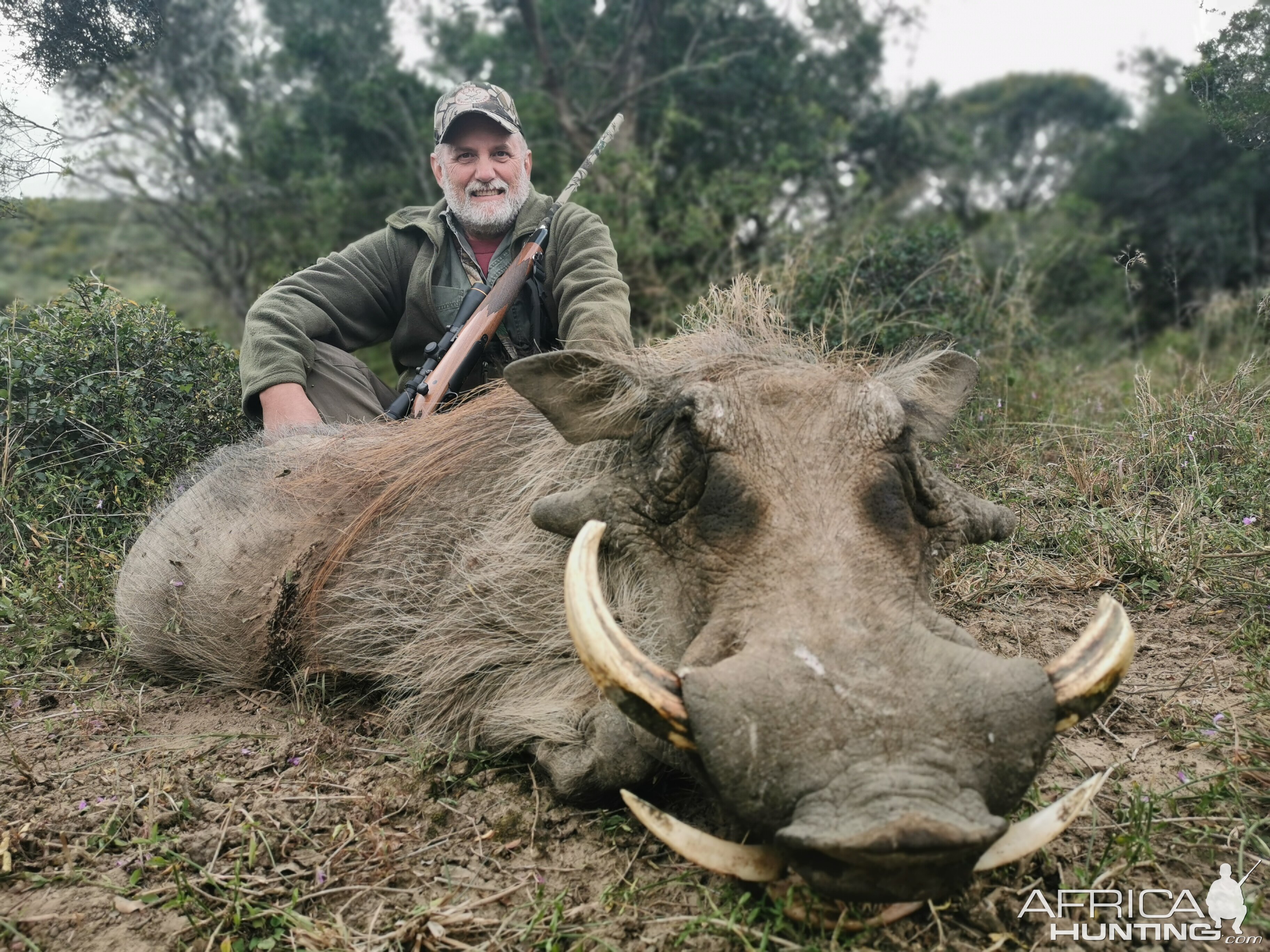 Hunting Warthog in South Africa