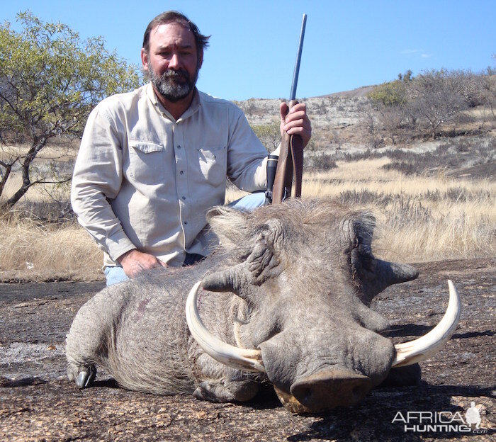 Hunting Warthog in  Zimbabwe