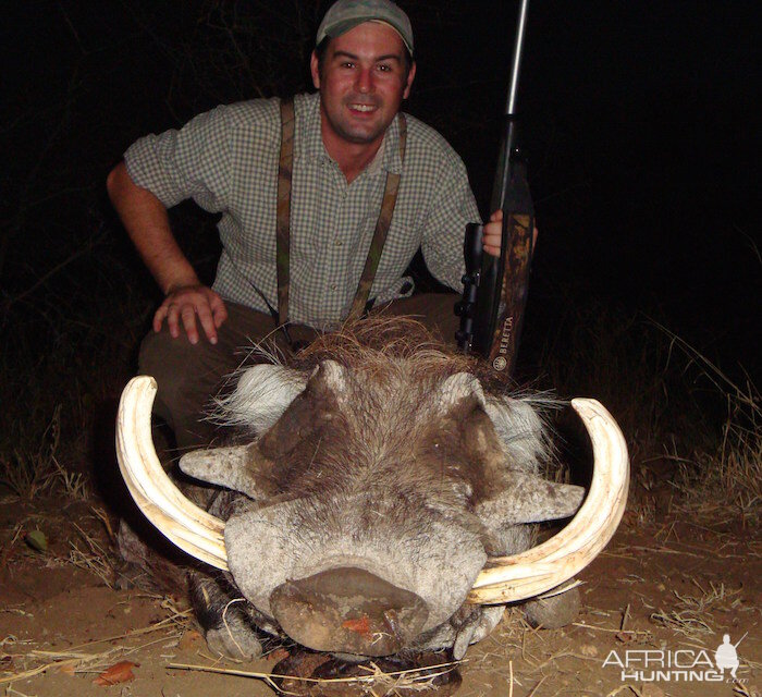 Hunting Warthog in Zimbabwe