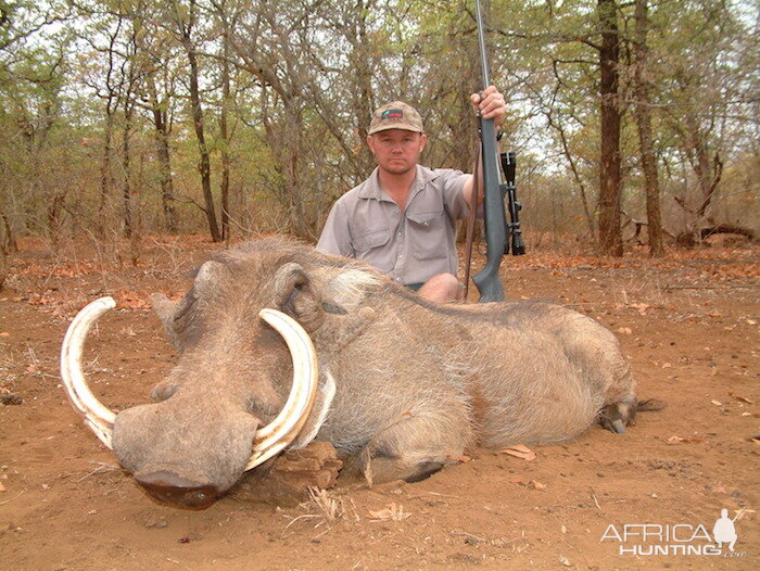 Hunting Warthog in Zimbabwe