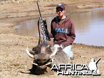 Hunting Warthog Namibia