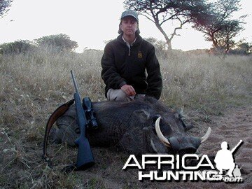 Hunting Warthog Namibia