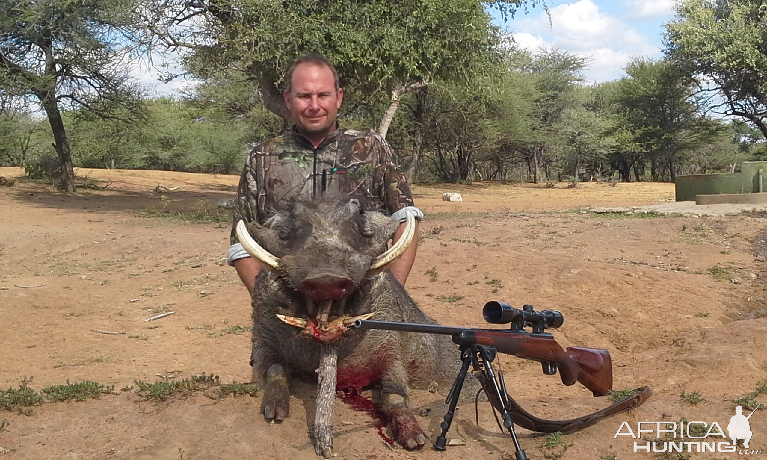 Hunting Warthog Namibia