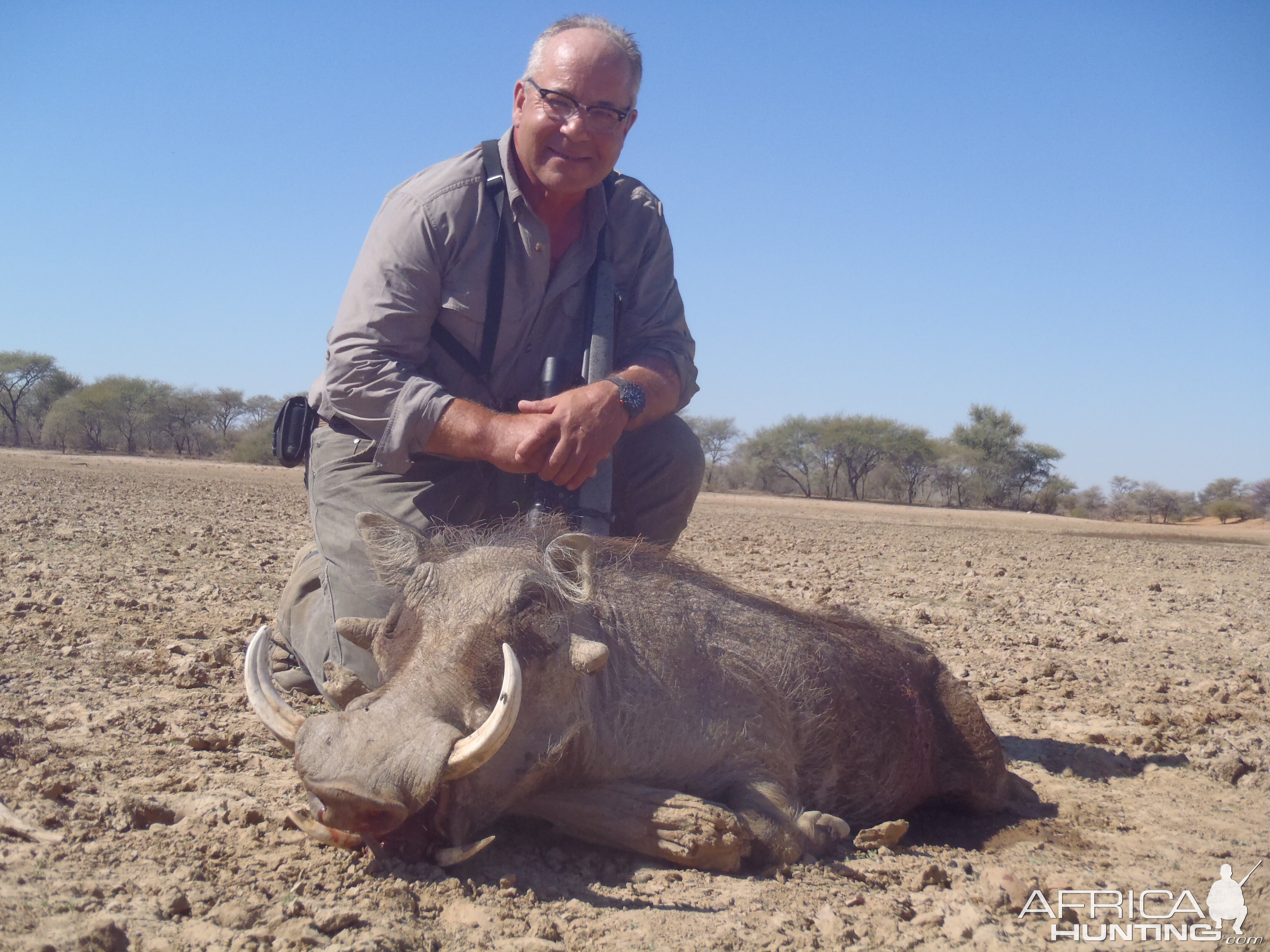 Hunting Warthog Namibia