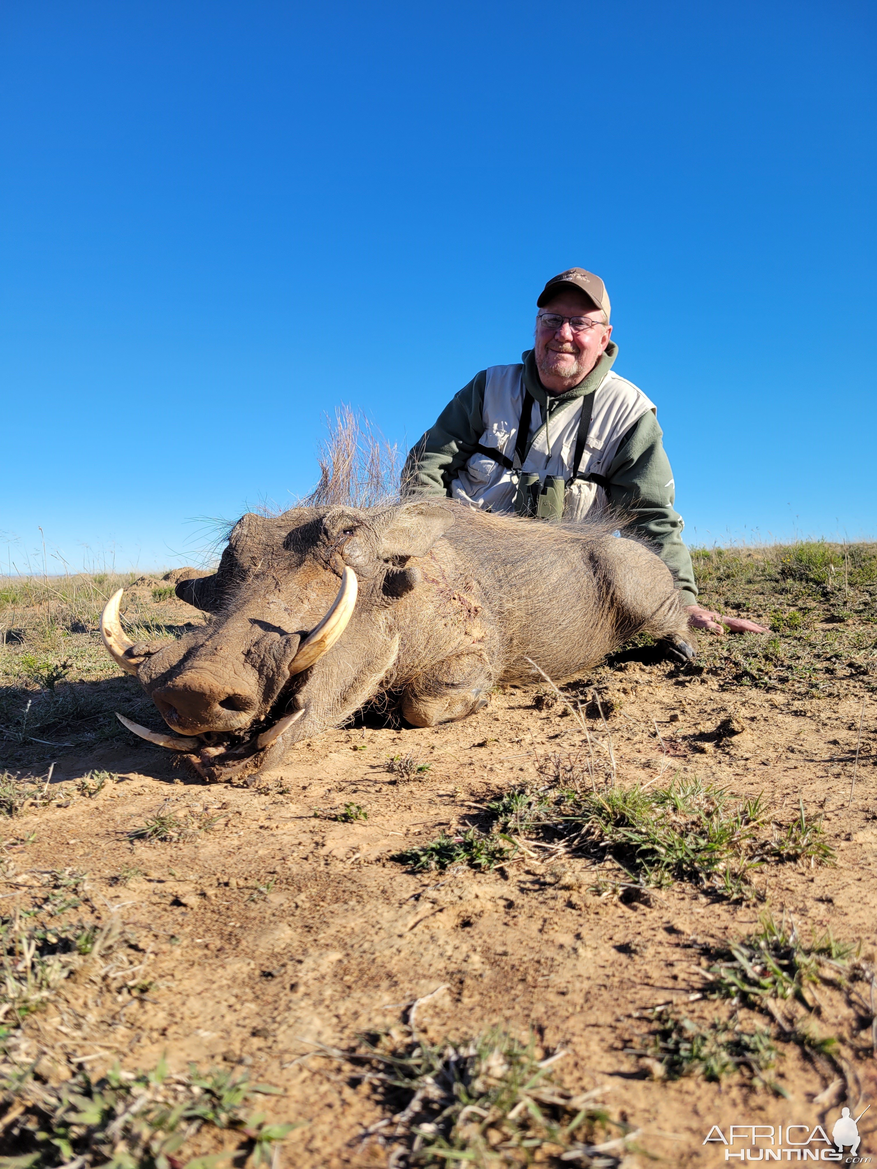 Hunting Warthog South Africa