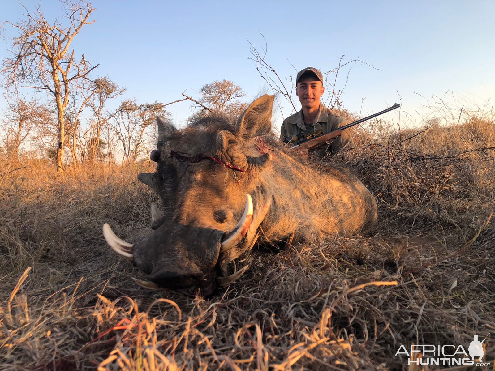 Hunting Warthog South Africa