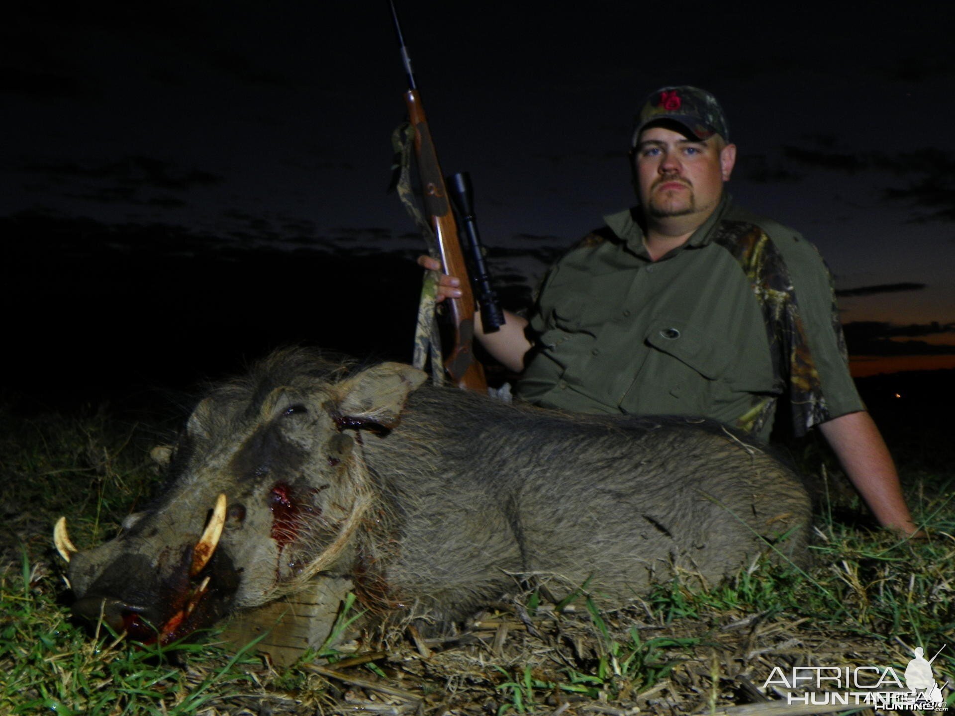 Hunting Warthog South Africa