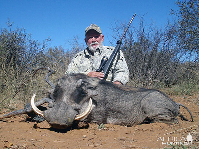 Hunting Warthog South Africa