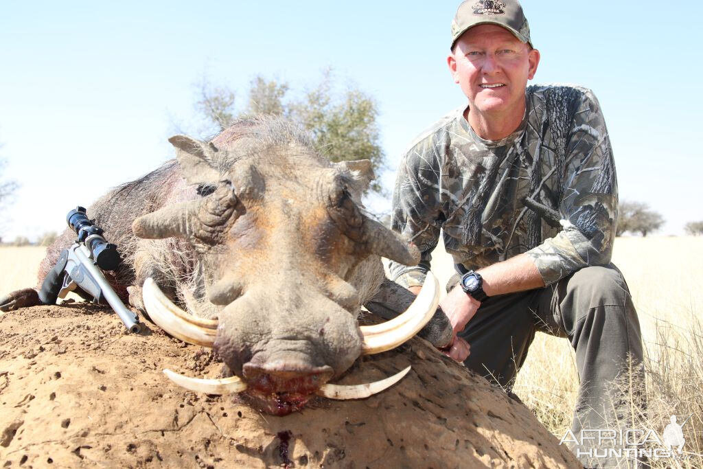 Hunting Warthog South Africa