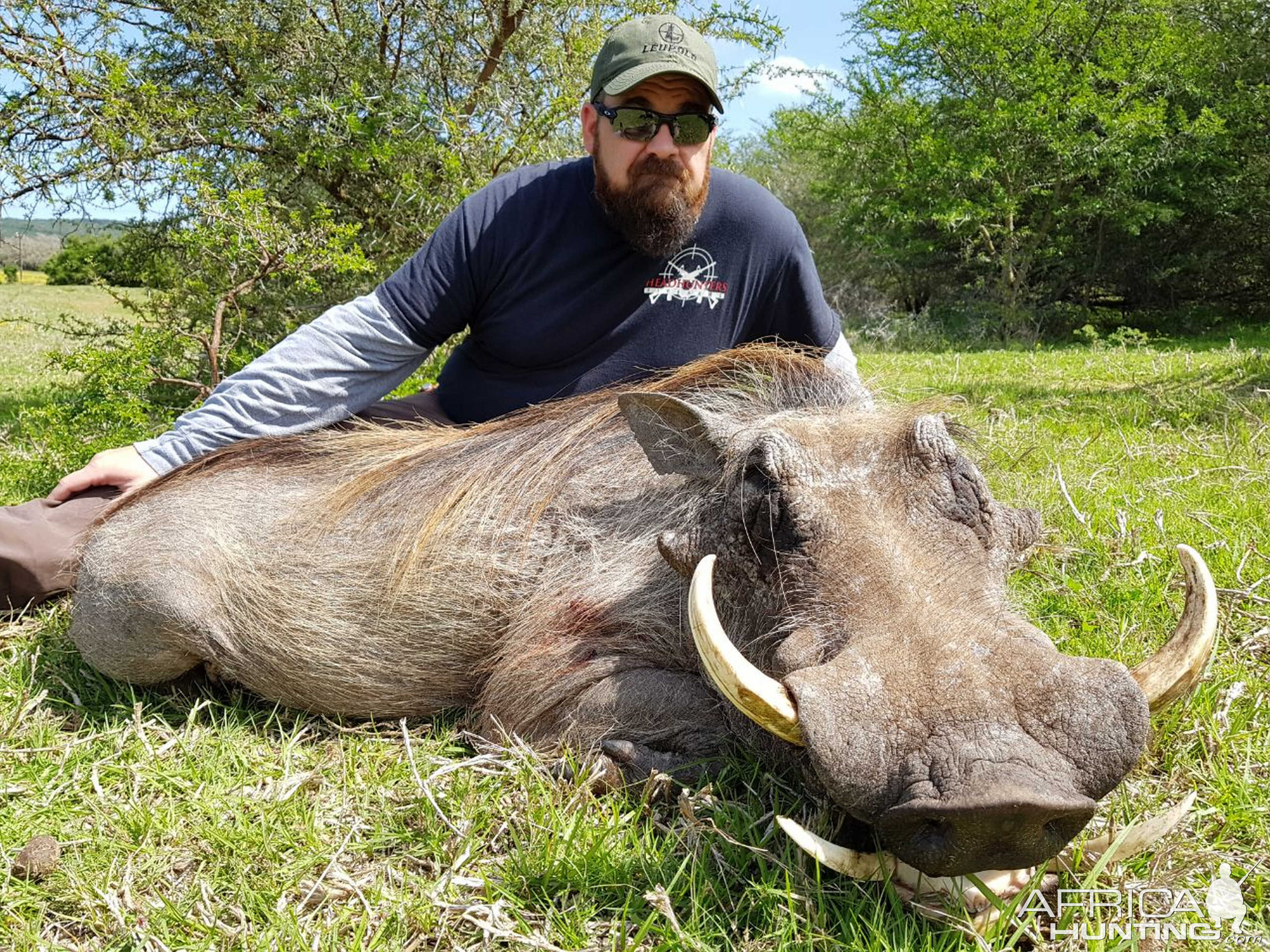 Hunting Warthog South Africa