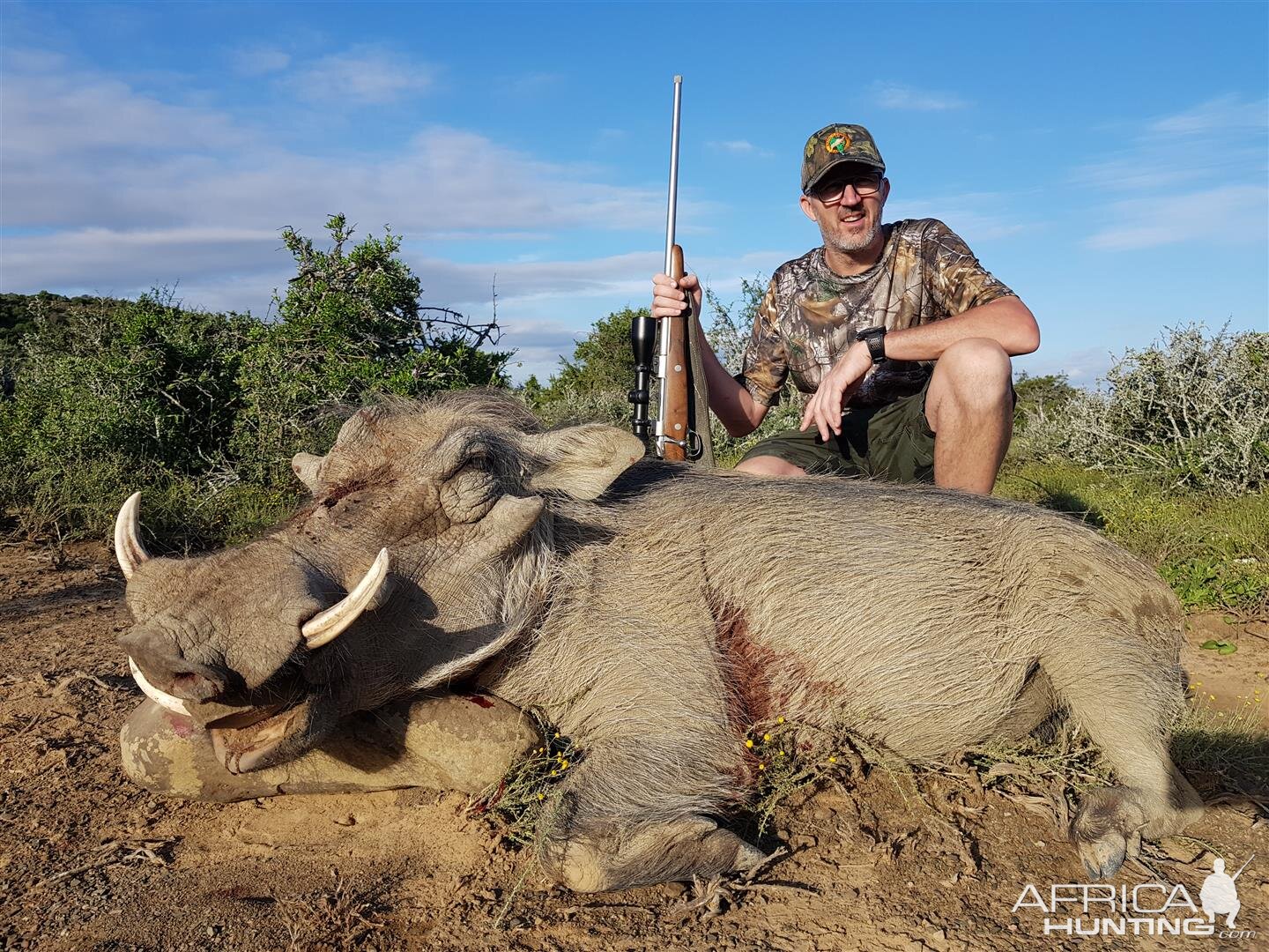 Hunting Warthog South Africa