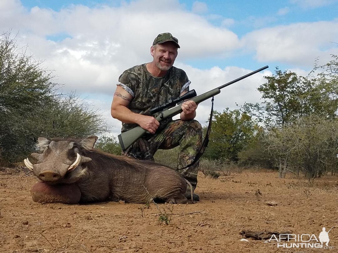 Hunting Warthog South Africa