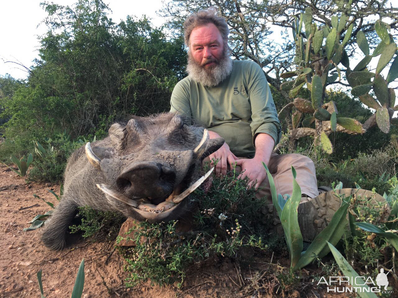 Hunting Warthog South Africa