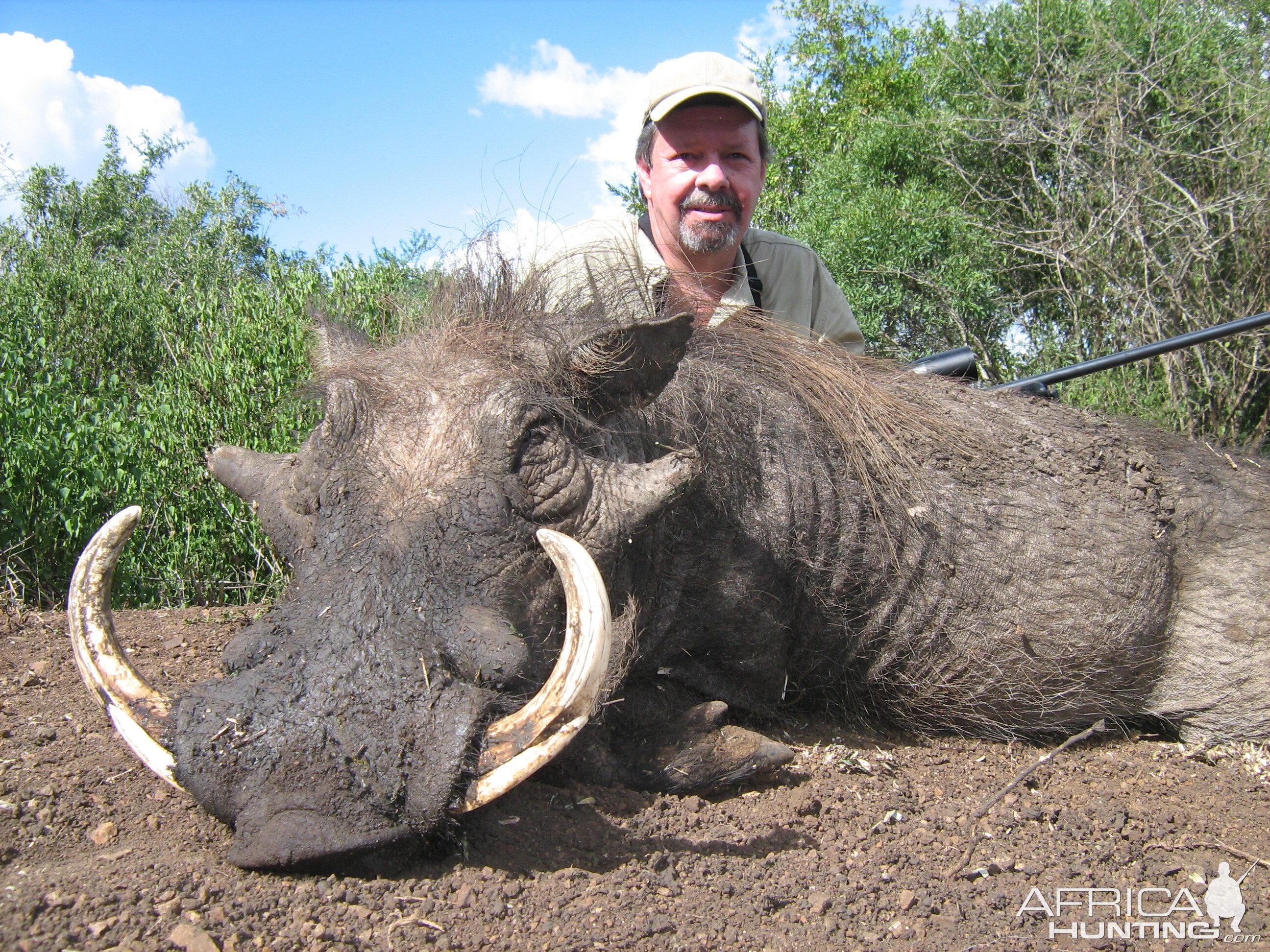 Hunting Warthog with Wintershoek Johnny Vivier Safaris in SA