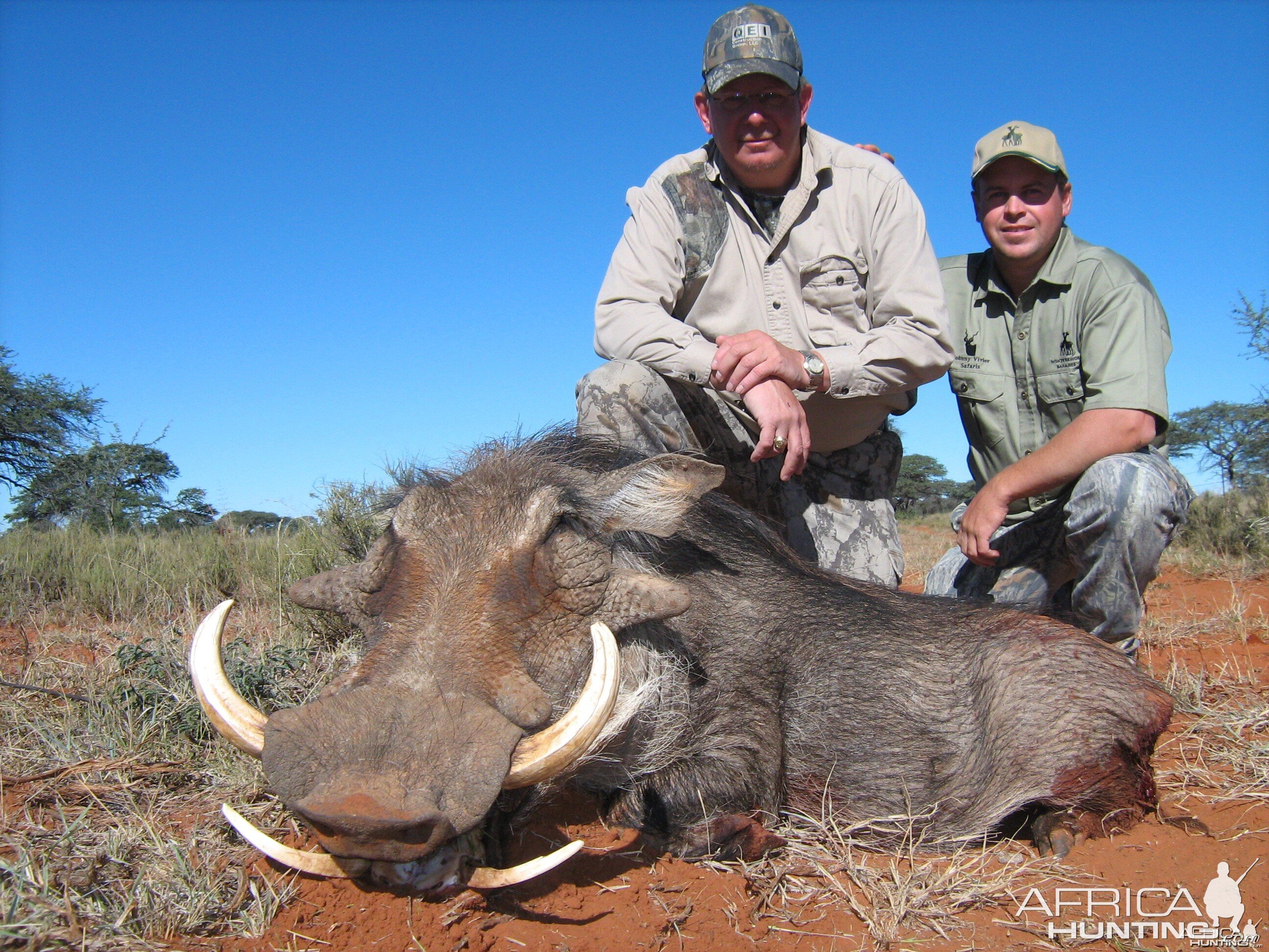 Hunting Warthog with Wintershoek Johnny Vivier Safaris in SA