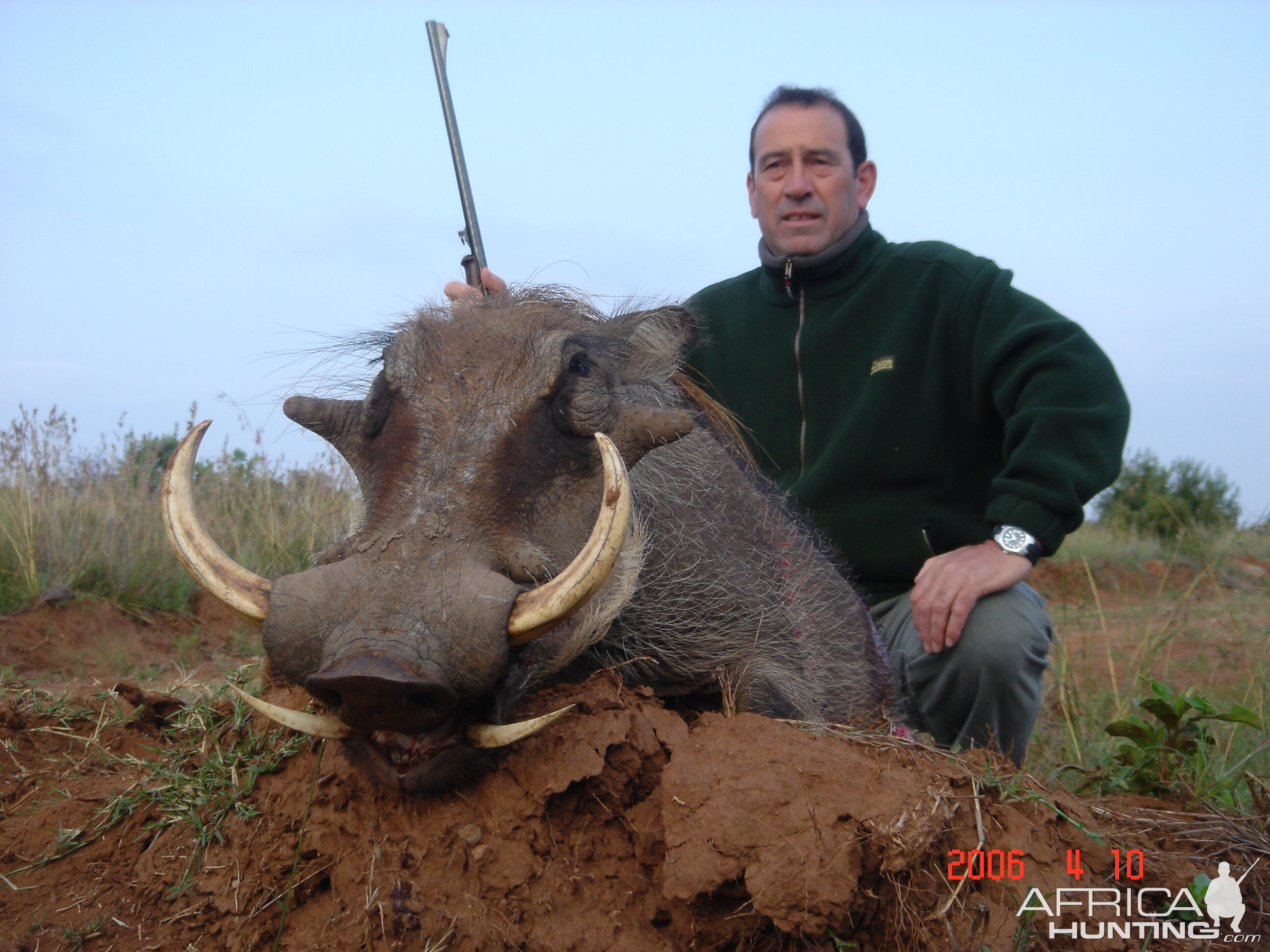 Hunting Warthog with Wintershoek Johnny Vivier Safaris in SA