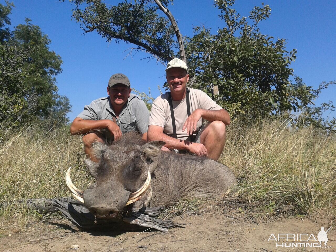 Hunting Warthog Zimbabwe