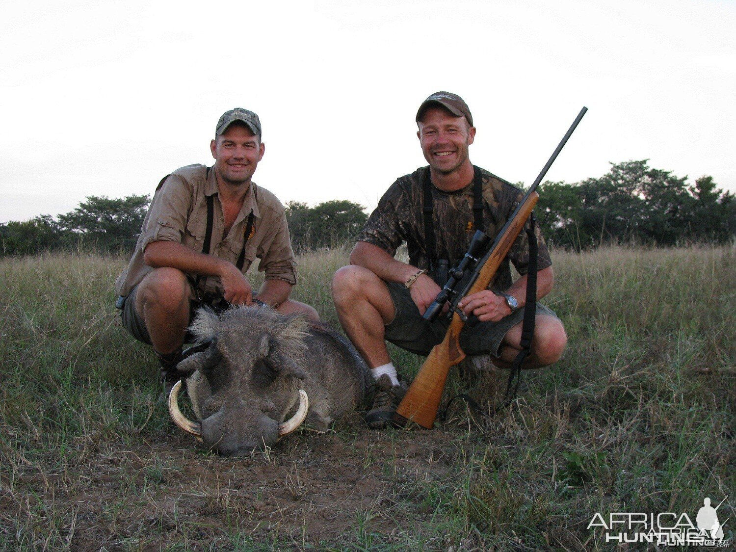 Hunting Warthog