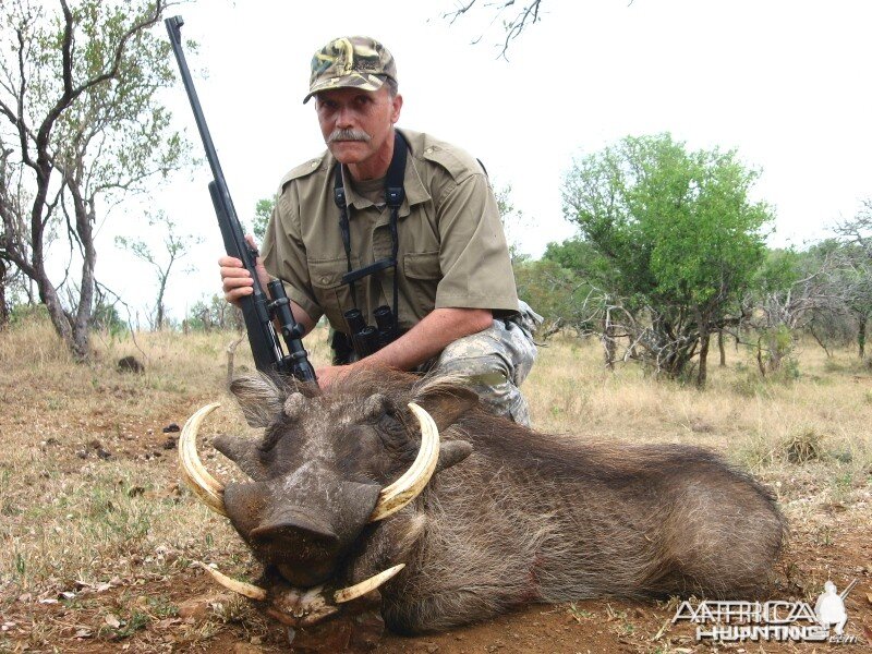 Hunting Warthog