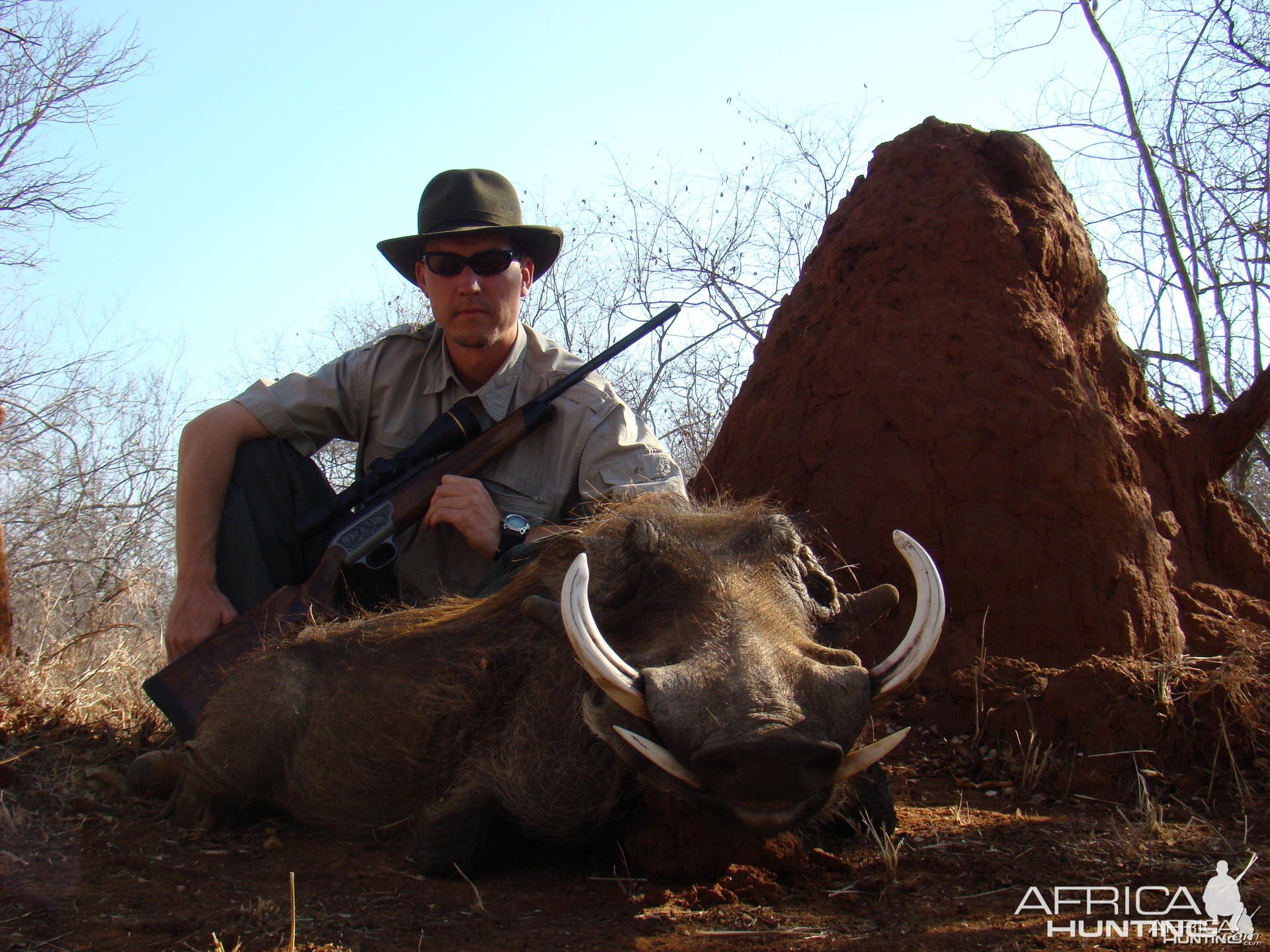 Hunting Warthog