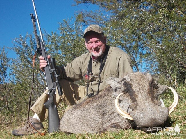 Hunting Warthog