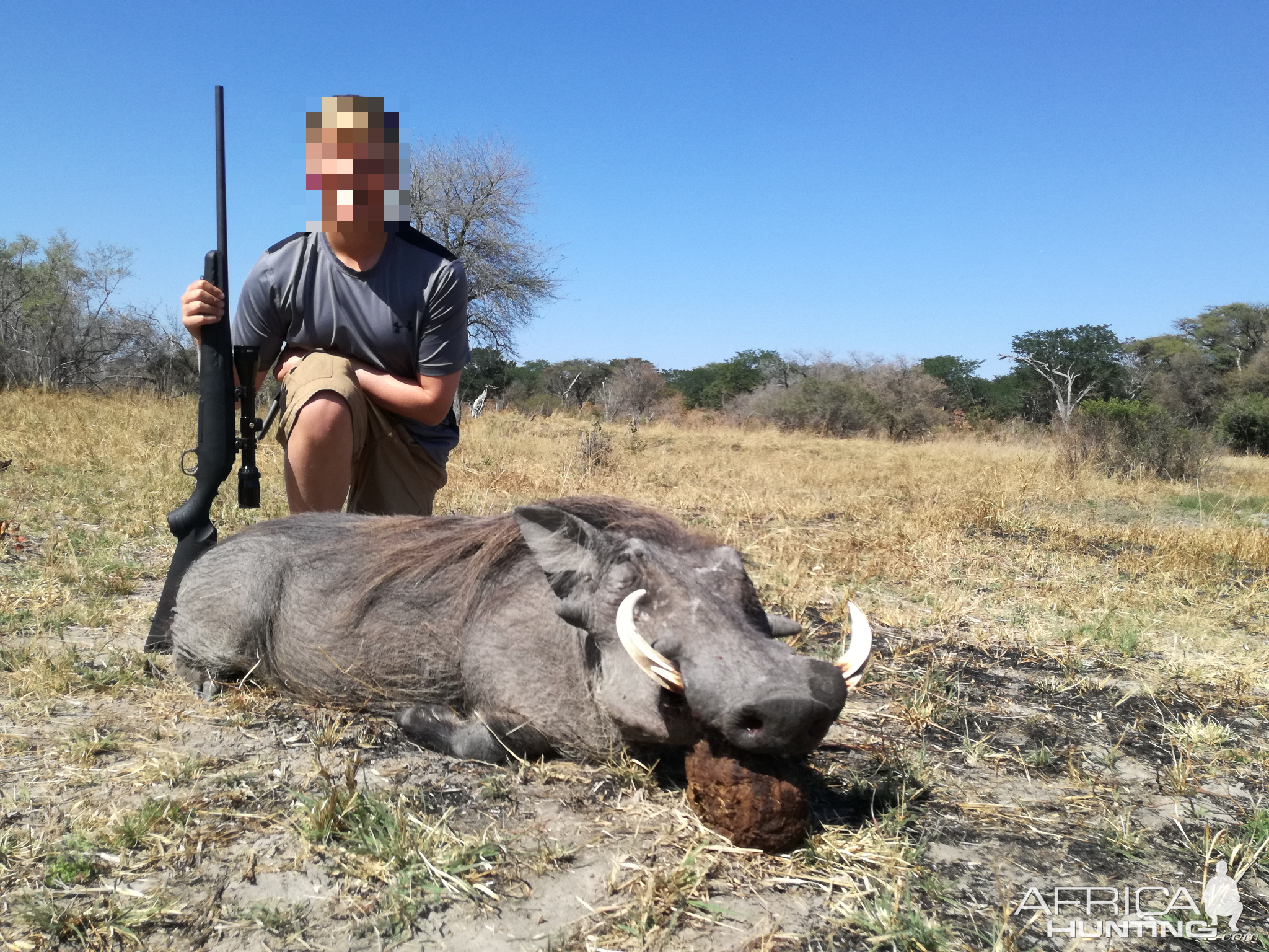 Hunting Warthog