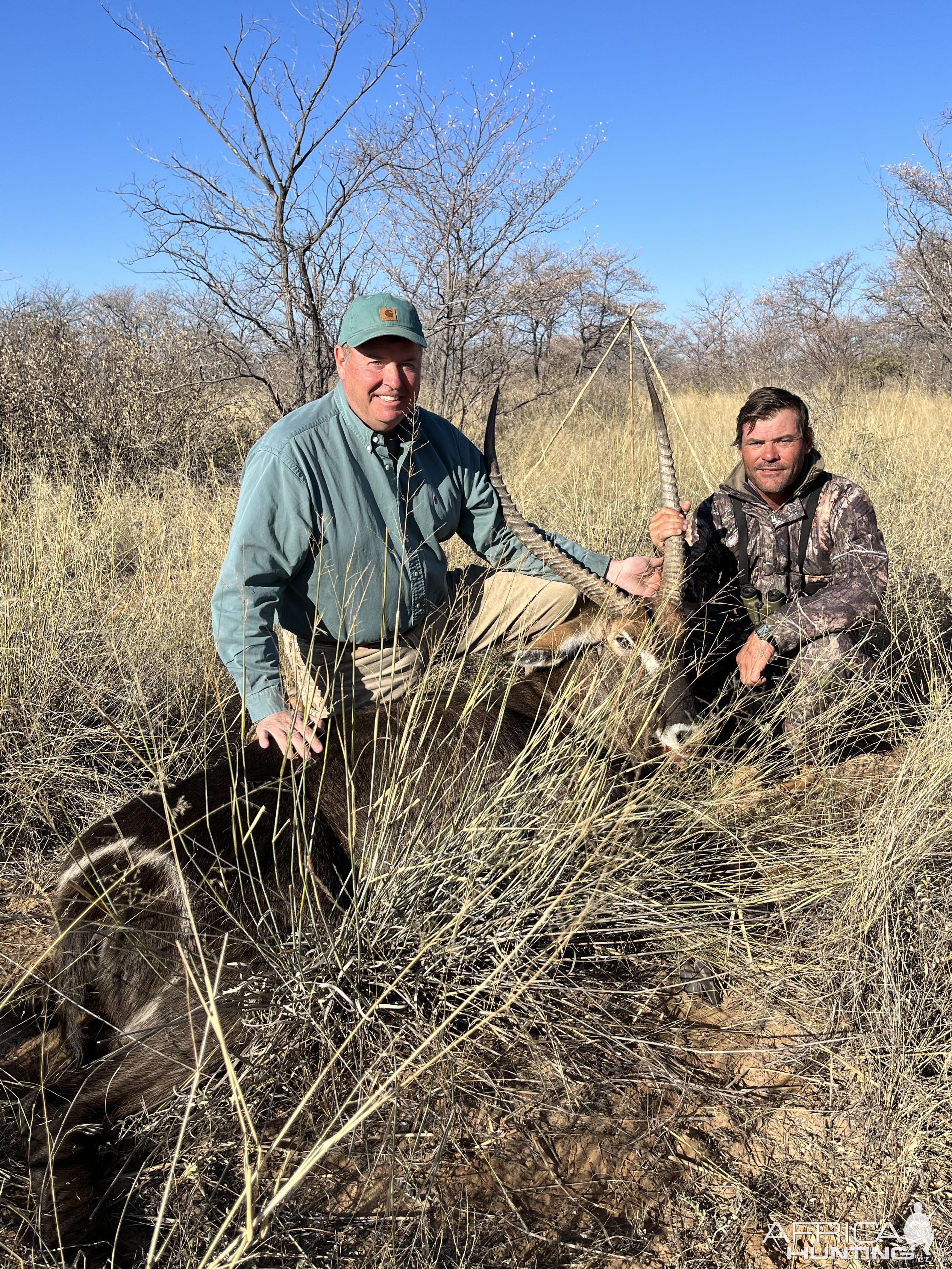 Hunting Waterbuck Botswana