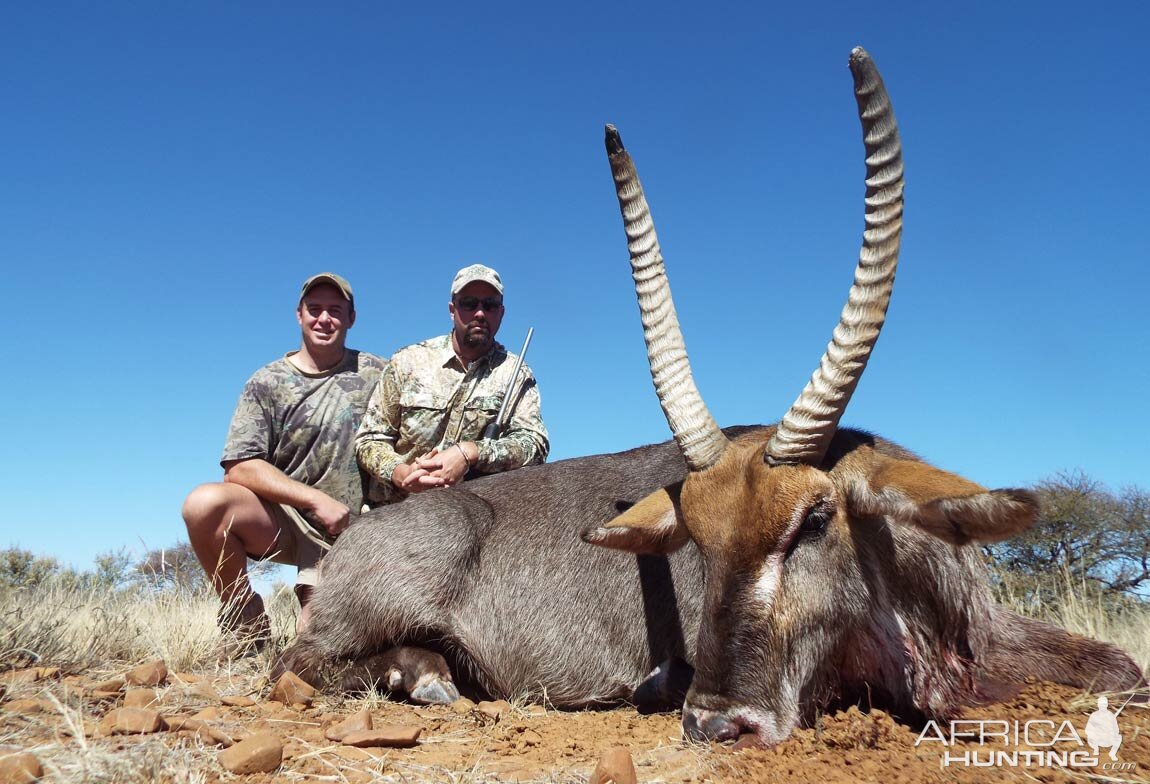 Hunting Waterbuck in South Africa