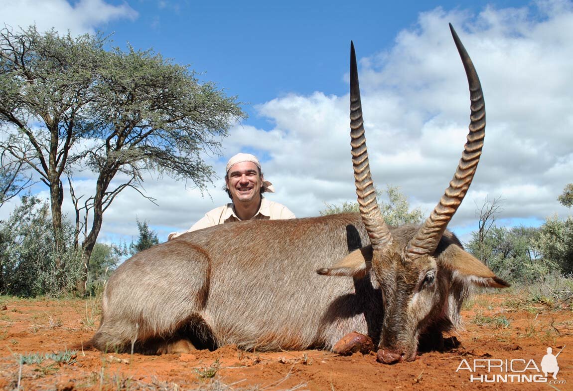 Hunting Waterbuck in South Africa