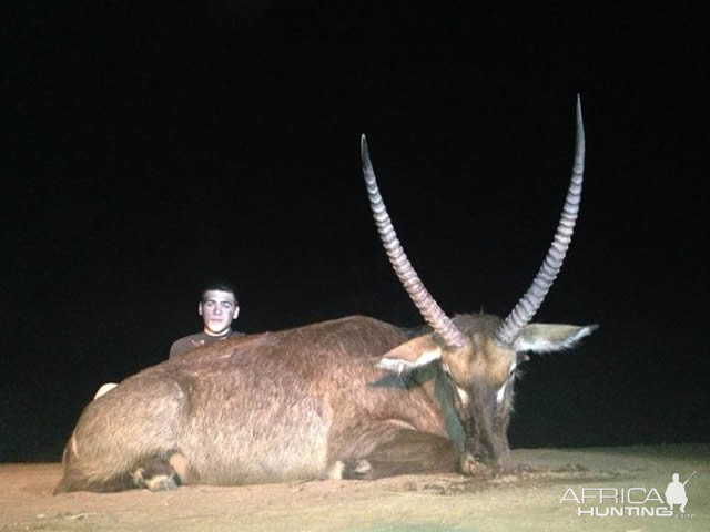 Hunting Waterbuck in South Africa