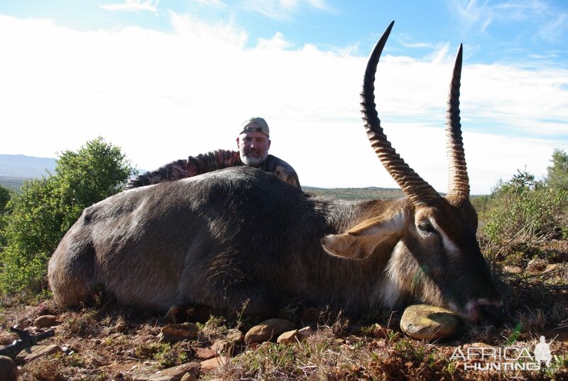 Hunting Waterbuck in South Africa